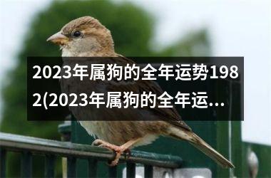 2023年属狗的全年运势1982(2023年属狗的全年运势详解)