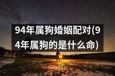 <h3>94年属狗婚姻配对(94年属狗的是什么命)