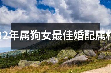 <h3>82年属狗女最佳婚配属相