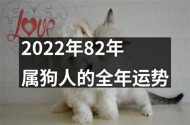 <h3>2025年82年属狗人的全年运势