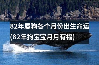 <h3>82年属狗各个月份出生命运(82年狗宝宝月月有福)