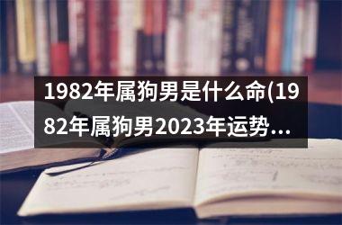 1982年属狗男是什么命(1982年属狗男2023年运势及运程)