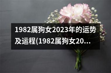 1982属狗女2023年的运势及运程(1982属狗女2023年运势运程每月运程)