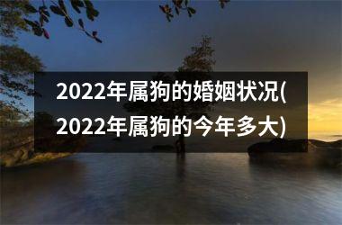 2022年属狗的婚姻状况(2022年属狗的今年多大)