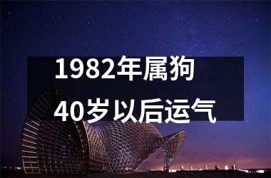 1982年属狗40岁以后运气