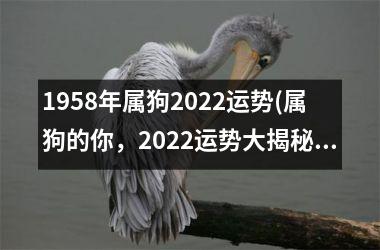 1958年属狗2025运势(属狗的你，2025运势大揭秘)