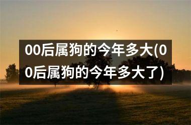 00后属狗的今年多大(00后属狗的今年多大了)