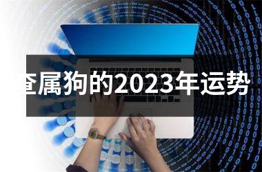 查属狗的2023年运势