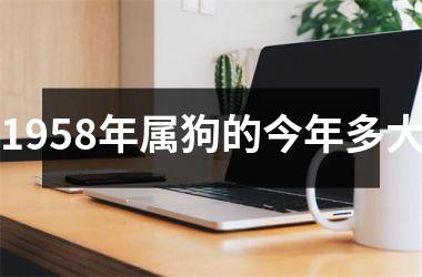 <h3>1958年属狗的今年多大