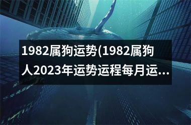 1982属狗运势(1982属狗人2023年运势运程每月运程)