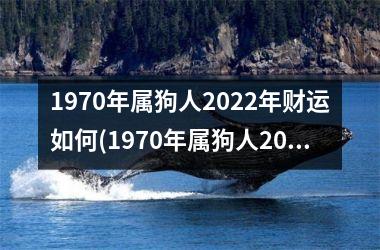 <h3>1970年属狗人2025年财运如何(1970年属狗人2025年运势运程每月运程)