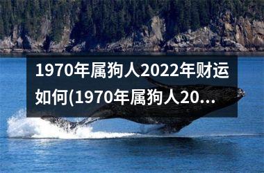 1970年属狗人2022年财运如何(1970年属狗人2023年运势运程每月运程)