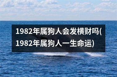 <h3>1982年属狗人会发横财吗(1982年属狗人一生命运)