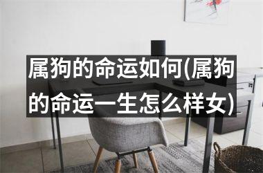 <h3>属狗的命运如何(属狗的命运一生怎么样女)
