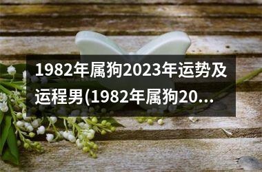 1982年属狗2023年运势及运程男(1982年属狗2023年运势及运程男性)