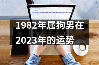 1982年属狗男在2023年的运势