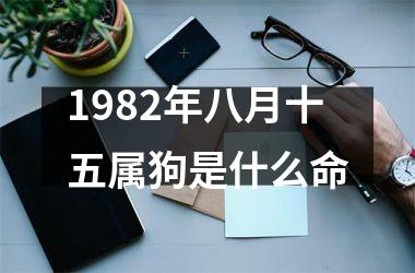 1982年八月十五属狗是什么命