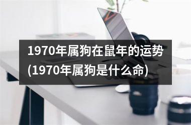 1970年属狗在鼠年的运势(1970年属狗是什么命)