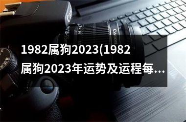 1982属狗2025(1982属狗2025年运势及运程每月运程)