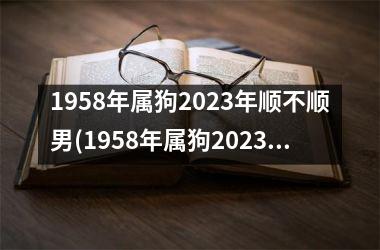 1958年属狗2023年顺不顺男(1958年属狗2023年运程)