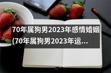 70年属狗男2023年感情婚姻(70年属狗男2023年运势)