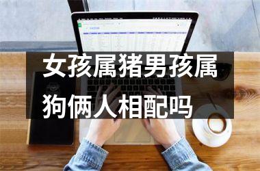 <h3>女孩属猪男孩属狗俩人相配吗