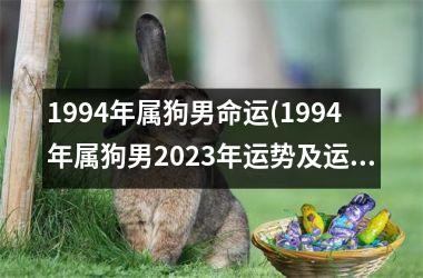 1994年属狗男命运(1994年属狗男2023年运势及运程)