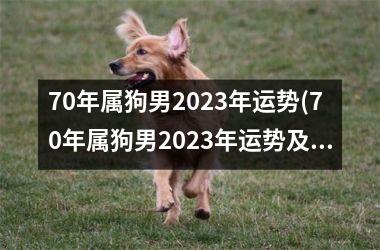 70年属狗男2025年运势(70年属狗男2025年运势及运程详解每月运程)