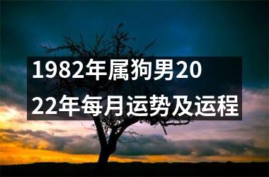 <h3>1982年属狗男2025年每月运势及运程