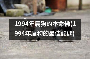 1994年属狗的本命佛(1994年属狗的最佳配偶)