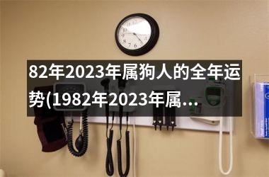 82年2023年属狗人的全年运势(1982年2023年属狗人的全年运势)