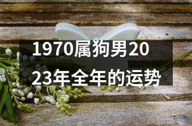 1970属狗男2023年全年的运势