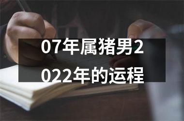 <h3>07年属猪男2025年的运程