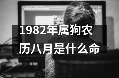 1982年属狗农历八月是什么命