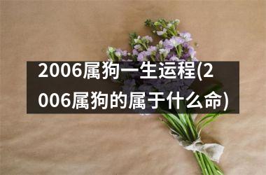 <h3>2006属狗一生运程(2006属狗的属于什么命)