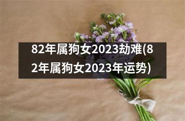 82年属狗女2023劫难(82年属狗女2023年运势)