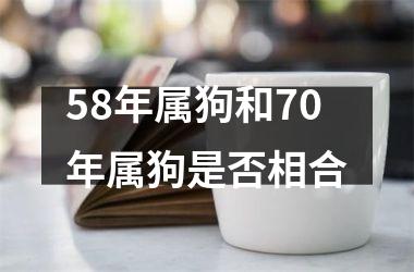 <h3>58年属狗和70年属狗是否相合