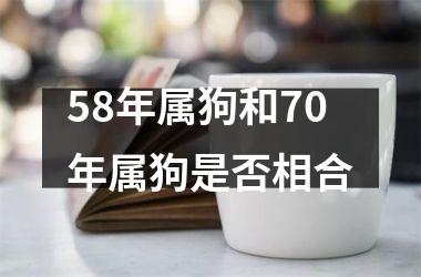 58年属狗和70年属狗是否相合