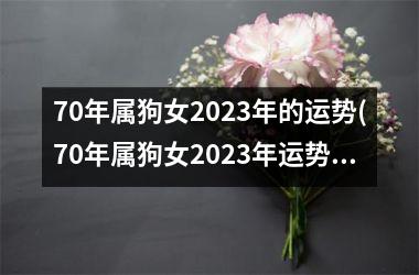 70年属狗女2023年的运势(70年属狗女2023年运势及运程详解每月运程)