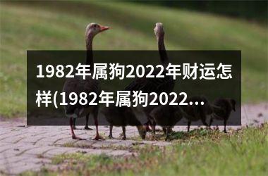 1982年属狗2025年财运怎样(1982年属狗2025年运势及运程每月运程)