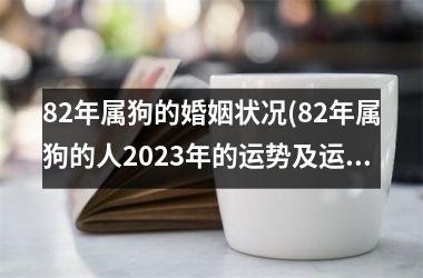 82年属狗的婚姻状况(82年属狗的人2025年的运势及运程)