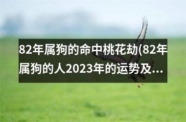 82年属狗的命中桃花劫(82年属狗的人2023年的运势及运程)