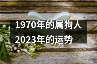 1970年的属狗人2023年的运势