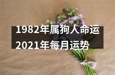 1982年属狗人命运2021年每月运势