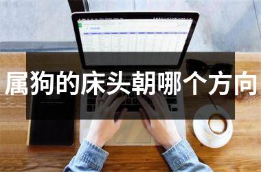 <h3>属狗的床头朝哪个方向
