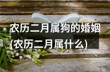 农历二月属狗的婚姻(农历二月属什么)