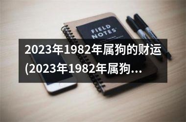 2023年1982年属狗的财运(2023年1982年属狗人的全年运势女)