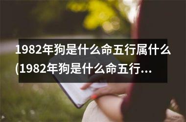 <h3>1982年狗是什么命五行属什么(1982年狗是什么命五行属什么命)