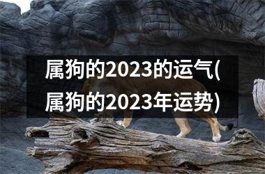 属狗的2023的运气(属狗的2023年运势)