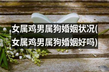 <h3>女属鸡男属狗婚姻状况(女属鸡男属狗婚姻好吗)